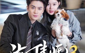 【渐入佳婚3第三部（60集）】优质短剧在线流畅播放