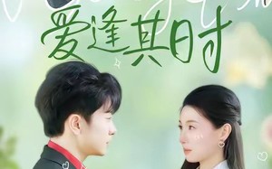 【爱逢其时（47集）】短剧全辑免费在线畅享