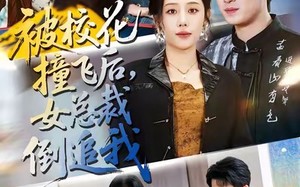 【被校花撞飞后，女总裁倒追我（80集）】短剧全集免费一键畅看