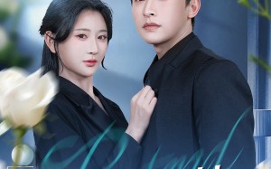 【假装深情（60集）】精彩短剧免费一键观看