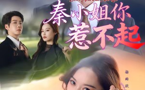 【秦小姐你惹不起（80集）】优质短剧免费在线追剧