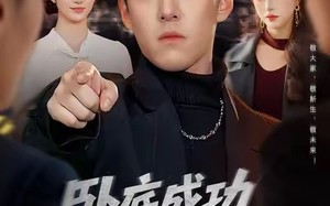 【卧底成功老大可是我的人（99集）】免费短剧全集高清在线追
