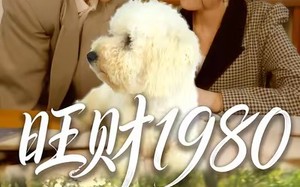 【旺财1980（83集）】长篇短剧在线免费追