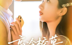 【高冷校草爱上我（80集）】热门短剧在线高清观看