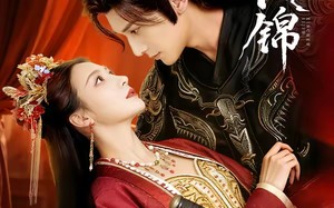 【心忱似锦（82集）】短剧全集免费高清观看