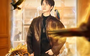 【我一家宠物店，怎么就成御兽宗了（71集）】精彩短剧在线高清观看