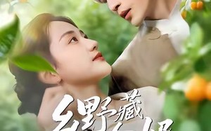 【乡野藏金婿（50集）】全网热播短剧免费看全集