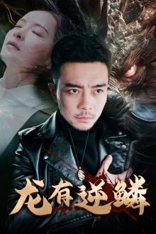 【龙有逆鳞（81集）】爆款短剧在线全集欣赏-第1张图片-热搜短剧最新分享