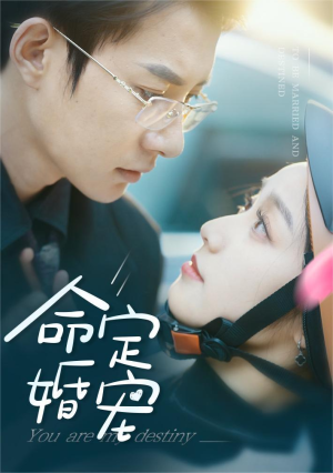 【命定婚宠（61集）】精彩短剧完整版在线赏-第1张图片-热搜短剧最新分享