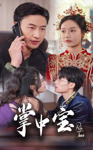 【掌中宝（31集）】热门短剧全集免费观看-第1张图片-热搜短剧最新分享