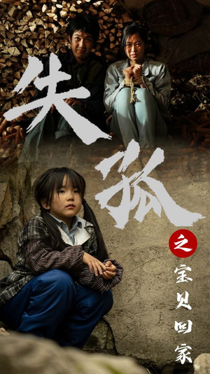 【失孤之宝贝回家（71集）】超清短剧在线免费观赏-第1张图片-热搜短剧最新分享