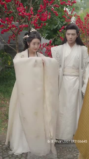 【重生医妃不好惹（81集）】短剧全辑免费在线观赏-第1张图片-热搜短剧最新分享