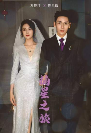 【摘星之旅（88集）】短剧全集无删减在线畅享-第1张图片-热搜短剧最新分享