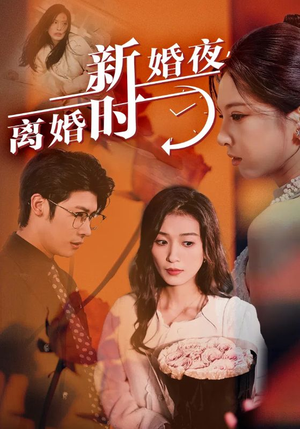 【新婚夜，离婚时（35集）】免费短剧在线畅享全集-第1张图片-热搜短剧最新分享