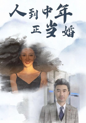【人到中年正当婚（81集）】短剧完整版免费在线看-第1张图片-热搜短剧最新分享