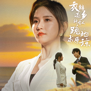 【衣锦还乡，所有人跪地求原谅（40集）】在线畅享短剧全集不花钱-第1张图片-热搜短剧最新分享