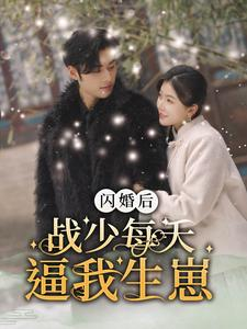 【闪婚后战少每天逼我生崽（91集）】爆款短剧在线免费畅享-第1张图片-热搜短剧最新分享