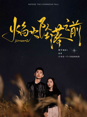 【焰火坠落之前（99集）】短剧全集在线免费观看-第1张图片-热搜短剧最新分享