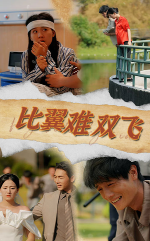 【比翼难双飞（30集）】免费短剧资源全剧集在线赏-第1张图片-热搜短剧最新分享
