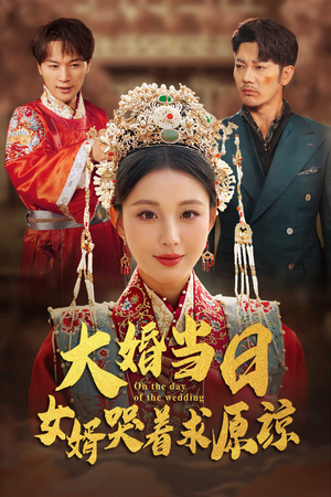 【大婚当日，女婿哭着求原谅（31集）】热门短剧全集免费赏-第1张图片-热搜短剧最新分享