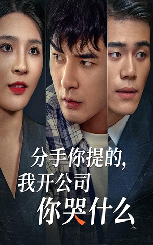 【分手你提的，我开公司你哭什么（61集）】在线短剧免费全集观-第1张图片-热搜短剧最新分享