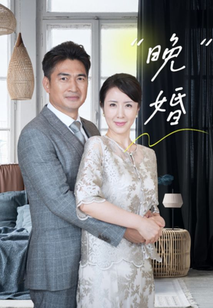 【晚婚（65集）】高分短剧在线流畅观看-第1张图片-热搜短剧最新分享