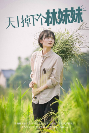 【天上掉下个林妹妹（81集）】免费短剧全集高清观赏-第1张图片-热搜短剧最新分享