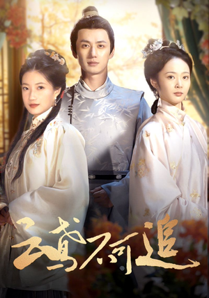 【云鸢不可追（42集）】短剧完整版免费在线赏-第1张图片-热搜短剧最新分享