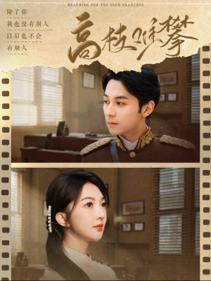 【高枝难攀（80集）】短剧高清全集在线直看-第1张图片-热搜短剧最新分享