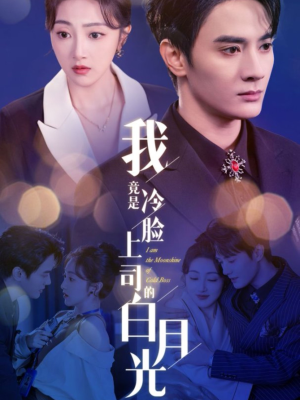 【我竟是冷脸上司的白月光（80集）】热门短剧在线无广告看-第1张图片-热搜短剧最新分享