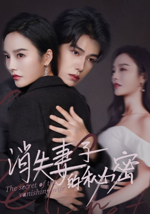 【消失妻子的秘密（60）】短剧全辑高清免费呈现-第1张图片-热搜短剧最新分享