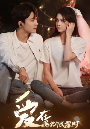 【爱在曙光微露时（49集）】高清短剧免费全集观-第1张图片-热搜短剧最新分享