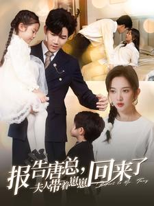 【报告唐总夫人带着崽崽回来了（100集）】热门短剧在线完整播放-第1张图片-热搜短剧最新分享