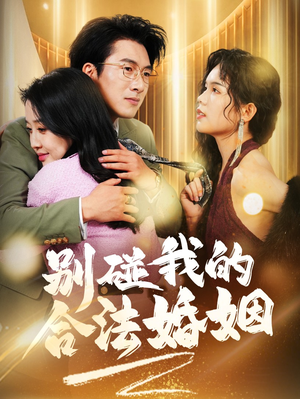 【别碰我的合法婚姻（30集）】免费短剧完整版速看-第1张图片-热搜短剧最新分享