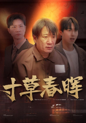 【寸草春晖（31集）】免费短剧高清全集直看-第1张图片-热搜短剧最新分享