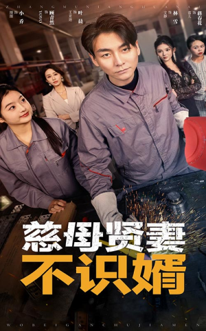 【慈母贤妻不识婿（45集）】超火短剧全集免费畅享-第1张图片-热搜短剧最新分享