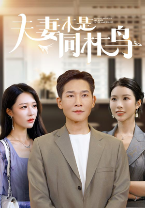 【夫妻本是同林鸟（76集）】超长短剧全集免费观看-第1张图片-热搜短剧最新分享