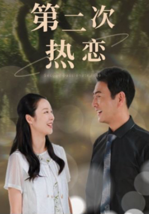 【第二次热恋（48集）】免费在线看短剧完整版-第1张图片-热搜短剧最新分享