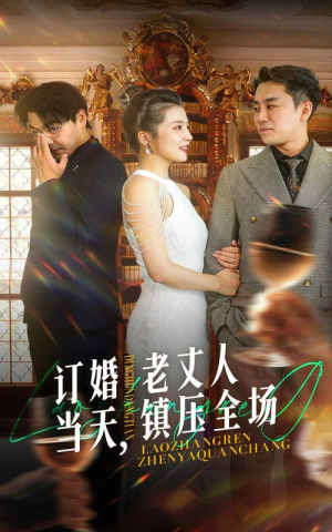 【订婚当天，老丈人镇压全场（29集）】热门短剧在线完整播放-第1张图片-热搜短剧最新分享