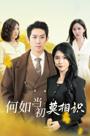 【何如当初莫相识（36集）】精彩短剧全集在线直看-第1张图片-热搜短剧最新分享