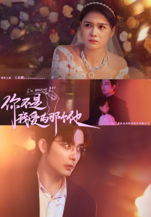 【你不是我爱的那个他（54集）】短剧全集免费畅快观-第1张图片-热搜短剧最新分享