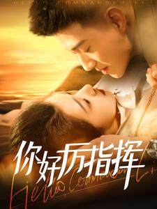 【你好厉指挥（100集）】免费在线看短剧全集-第1张图片-热搜短剧最新分享