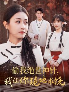 【偷我绝世神针，我让你跪地求饶（30集）】热门短剧全集免费播放-第1张图片-热搜短剧最新分享