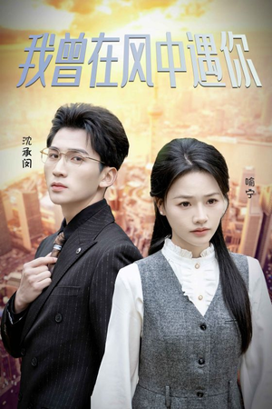 【我曾在风中遇你（30集）】短剧免费畅看全集无阻-第1张图片-热搜短剧最新分享