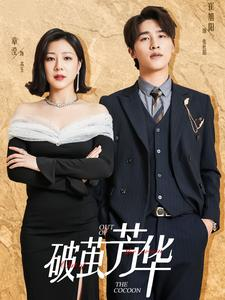 【破茧芳华（80集）】在线短剧全集免费赏-第1张图片-热搜短剧最新分享