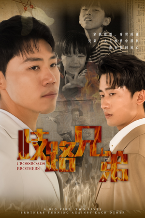 【歧路兄弟（63集）】优质短剧全集免费畅看-第1张图片-热搜短剧最新分享