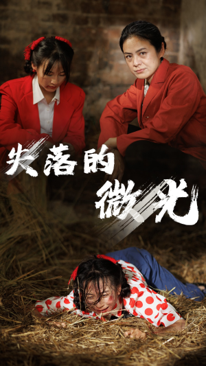 【失落的微光（60集）】短剧超清画质在线免费追-第1张图片-热搜短剧最新分享