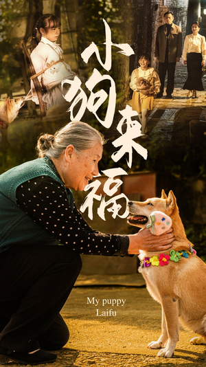 【小狗来福（30集）】全集短剧免费在线追不停-第1张图片-热搜短剧最新分享