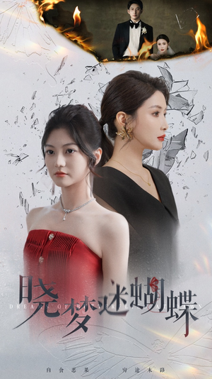 【晓梦迷蝴蝶（76集）】短剧高清全集免费点播-第1张图片-热搜短剧最新分享