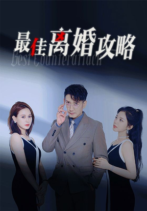 【最佳离婚攻略（31集）】精彩短剧全集免费畅享-第1张图片-热搜短剧最新分享